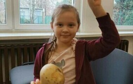 424773115_782963570534301_8755146496477989785_n